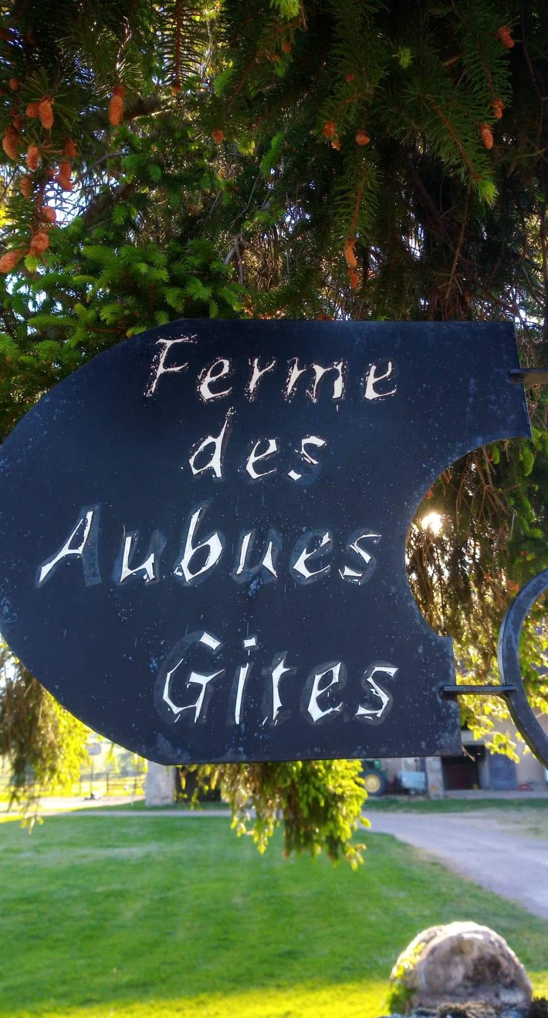 Photo n° 7 de l'avis de Alexandra.e fait le 29/12/2020 à 13:21