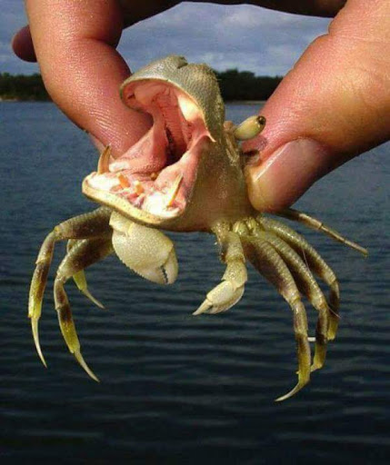 Shopping Mall «Constant Friendship Shopping Center», reviews and photos, 3438 Emmorton Rd, Abingdon, MD 21009, USA