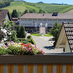 Photo n°1 de l'avis de Tom.o fait le 13/07/2019 à 08:54 sur le  Hotel Linde à Durbach