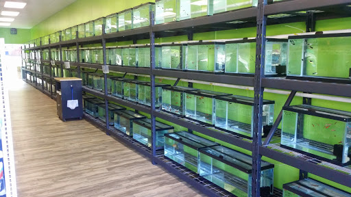 Pet Store «Ecology Pet», reviews and photos, 111 Mayo Rd, Edgewater, MD 21037, USA