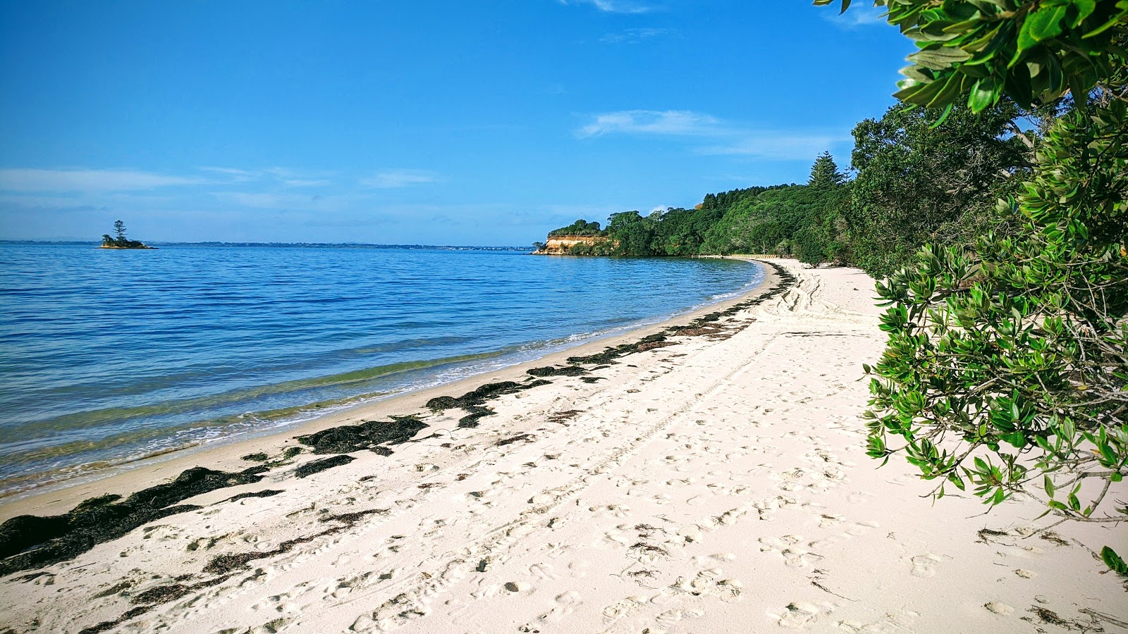 Foto di Matakawau Beach con una superficie del sabbia beige
