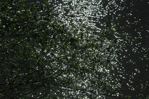 Park «Riverside Park», reviews and photos, 575 Riverside Rd, Roswell, GA 30075, USA