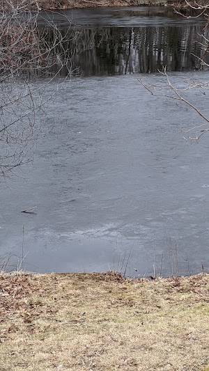 White Mill Park - photo 28