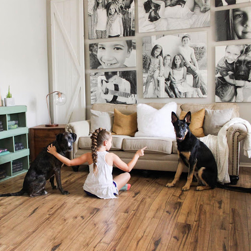 Photo Shop «CanvasHQ», reviews and photos, 4320 Industrial Dr, Fort Smith, AR 72916, USA