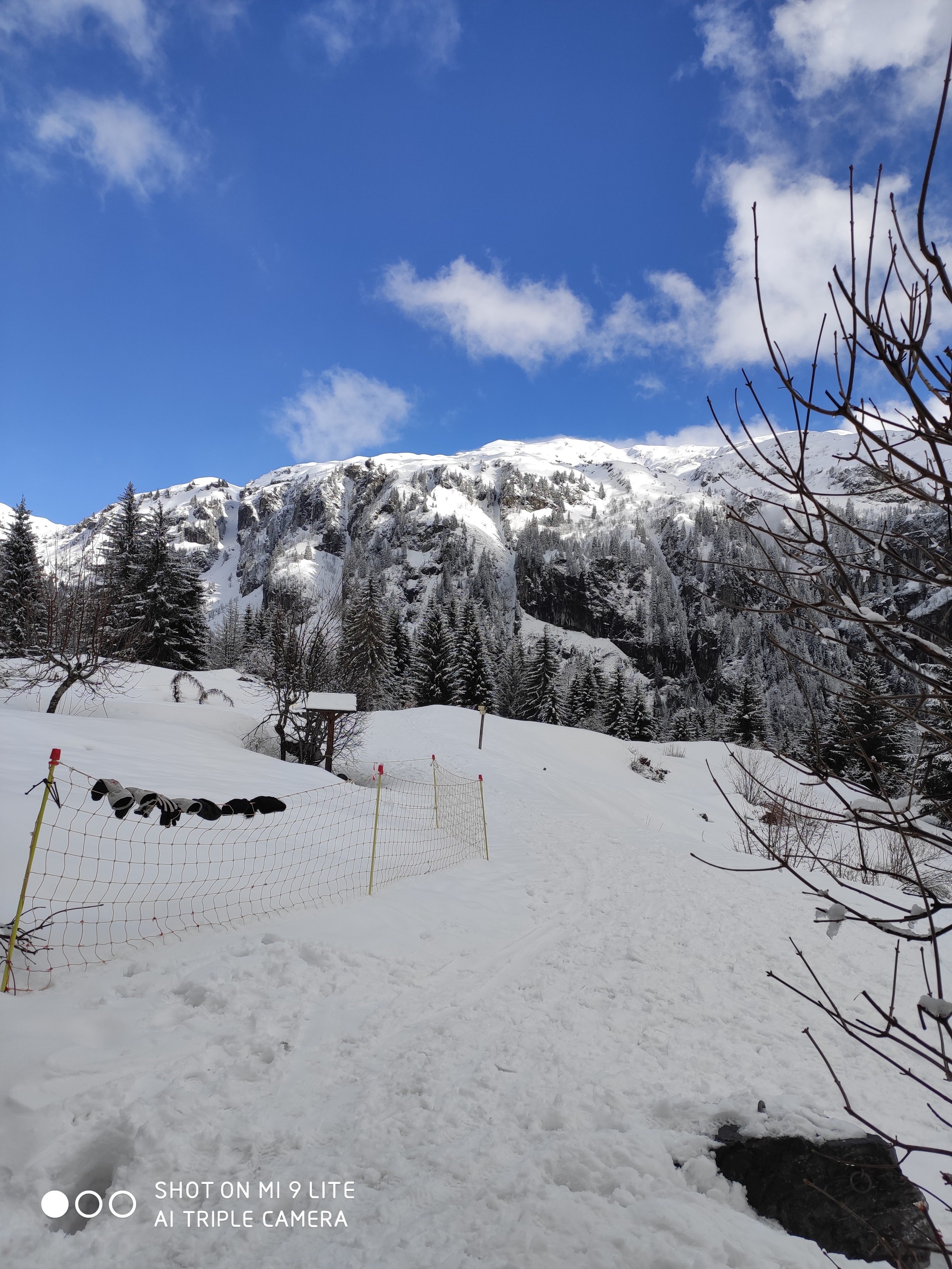 Photo n° 1 de l'avis de Emilie.e fait le 18/02/2020 à 15:28