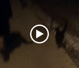 Parque Guaycura photo