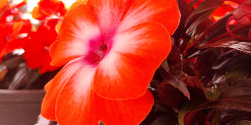 Home Improvement Store «The Home Depot», reviews and photos, 1155 High St, Wadsworth, OH 44281, USA