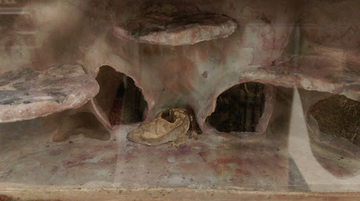 Pet Supply Store «Petco Animal Supplies», reviews and photos, 2520 E 3rd St, Bloomington, IN 47401, USA