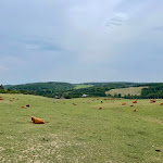 Photo n°11 de l'avis de Marcel.. fait le 08/06/2023 à 20:09 sur le  Reit- & Sporthotel NORDMANN à Stangerode