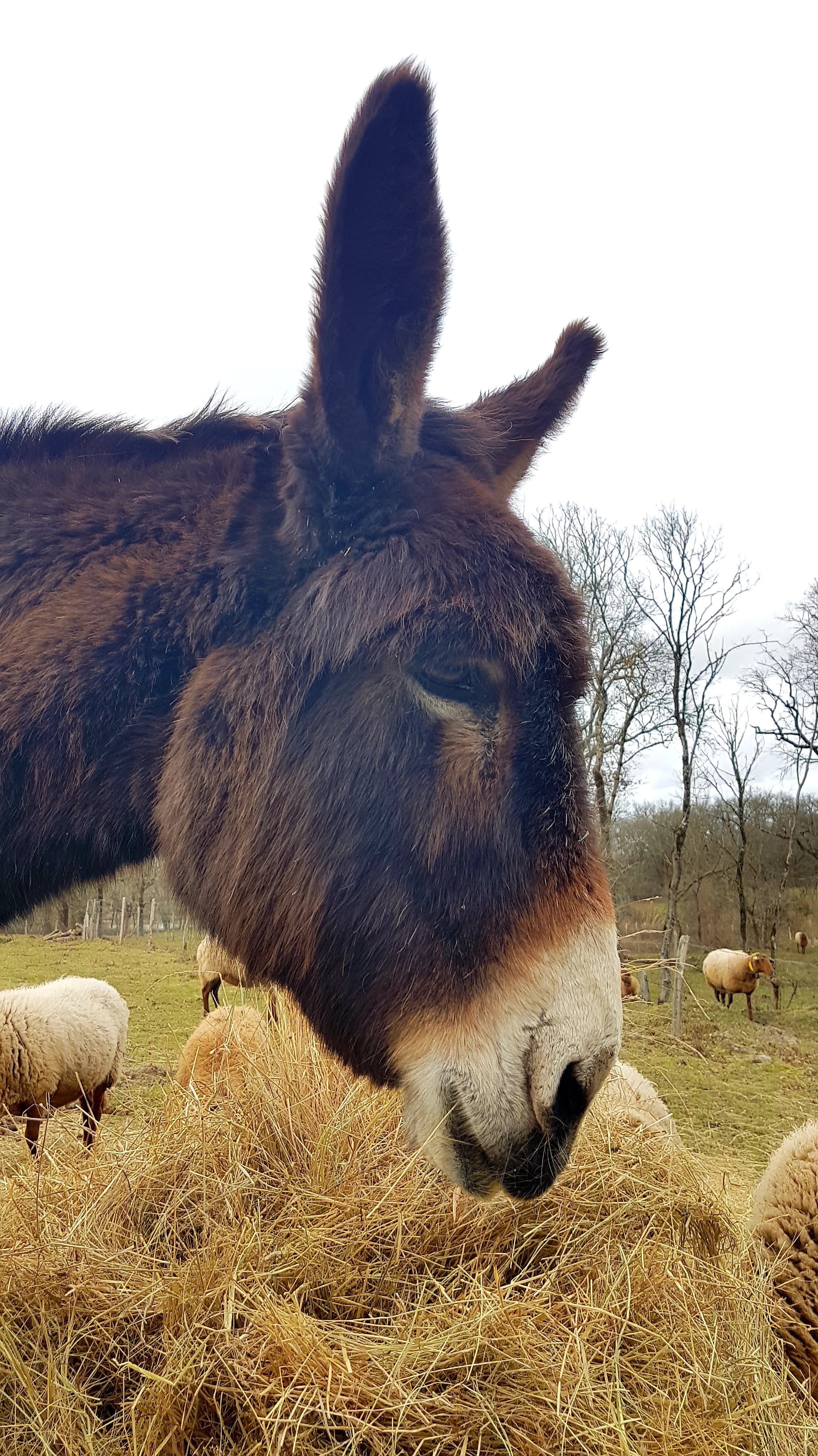 Photo n° 1 de l'avis de Thierry.a fait le 09/02/2019 à 16:21