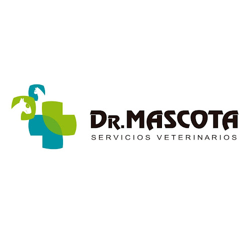 Opiniones de Dr. Mascota - Veterinaria en Guayaquil - Veterinario