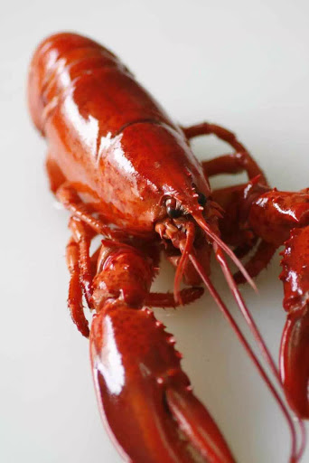 Supermarket «Oriental Supermarket», reviews and photos, 5465 I-55, Jackson, MS 39206, USA