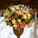 Photo n°5 de l'avis de angelo.r fait le 25/04/2023 à 15:52 sur le  Osteria del 36 à Parma