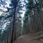 Photo n°15 de l'avis de Annamaria. fait le 03/11/2022 à 14:31 sur le  Alpe Camaggiore à Vendrogno