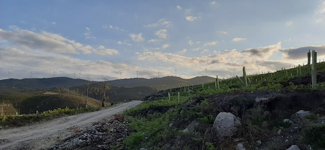 Avaliações doCampo das Carvalhas em Viana do Castelo - Campo de futebol