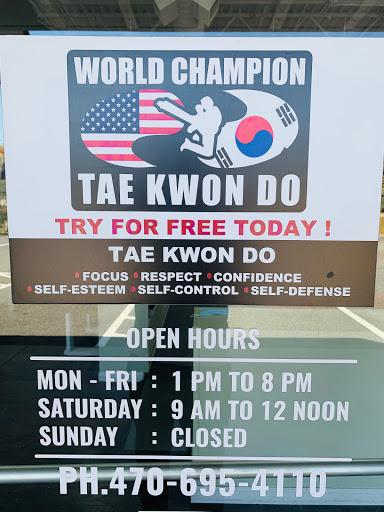 World Champion Taekwondo Martial Arts Sharon Springs image 10