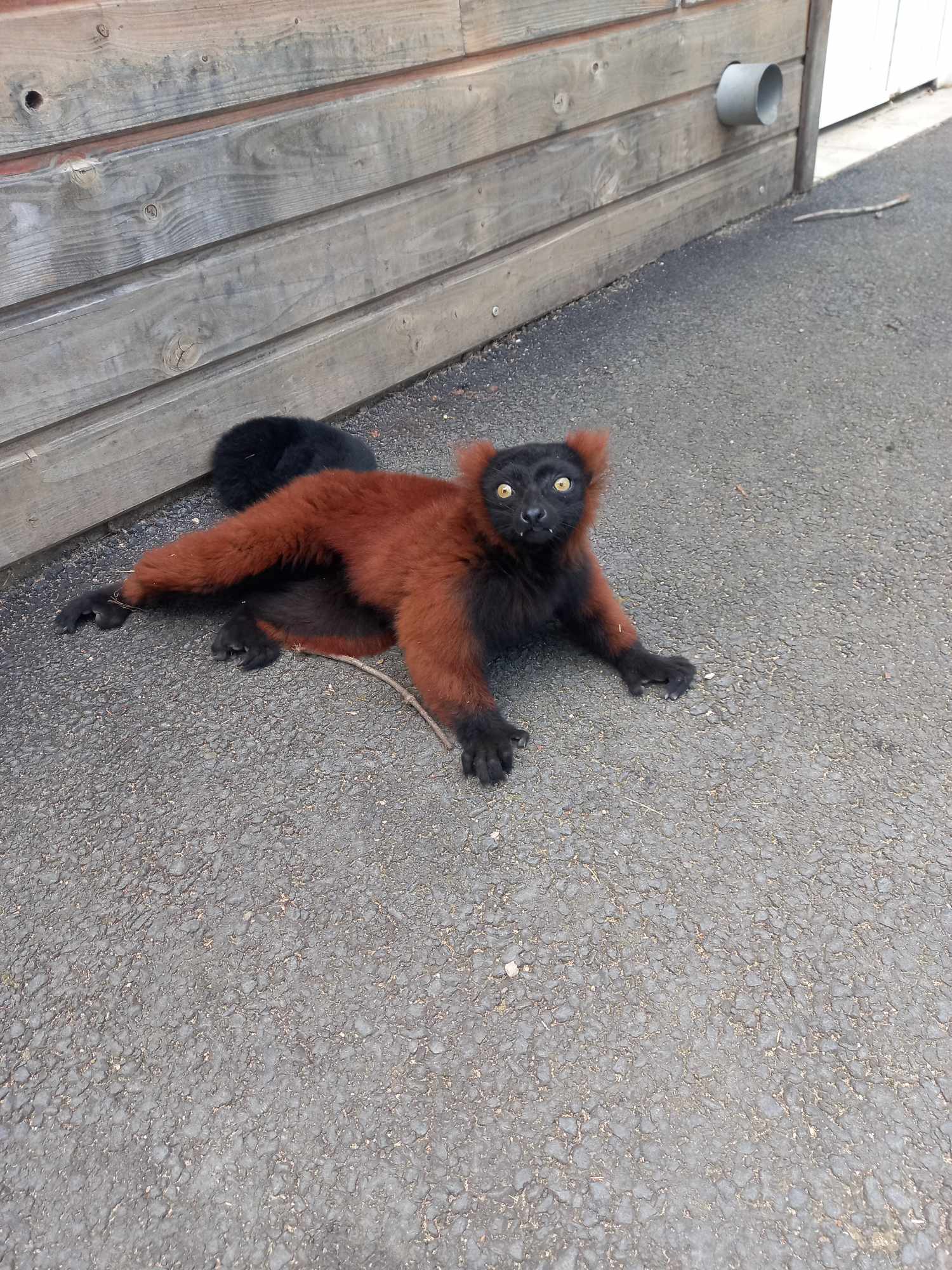 Photo n° 6 de l'avis de Nathalie.l fait le 27/08/2023 à 13:13