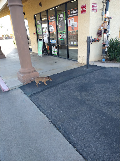 Car Battery Store «Batteries Plus Bulbs», reviews and photos, 12845 W Bell Rd, Surprise, AZ 85378, USA