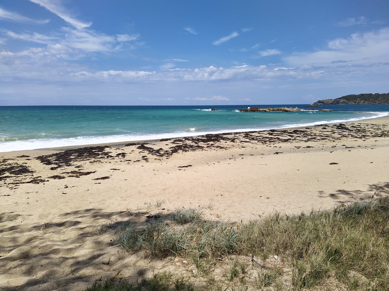 Photo de Opal Cove Beach et le règlement