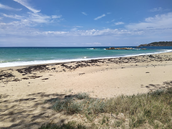 Opal Cove Beach
