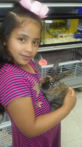 Pet Store «Petland Discounts - New Rochelle», reviews and photos, 216 North Ave, New Rochelle, NY 10801, USA