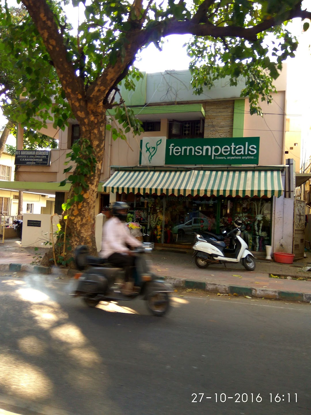 Ferns N Petals : Flowers Shop in Sadashiv, Bangalore