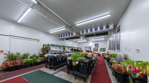 Florist «Sequoia Floral International», reviews and photos, 3245 Santa Rosa Ave, Santa Rosa, CA 95407, USA