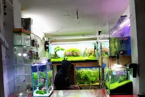Pran Aquarium plantation image