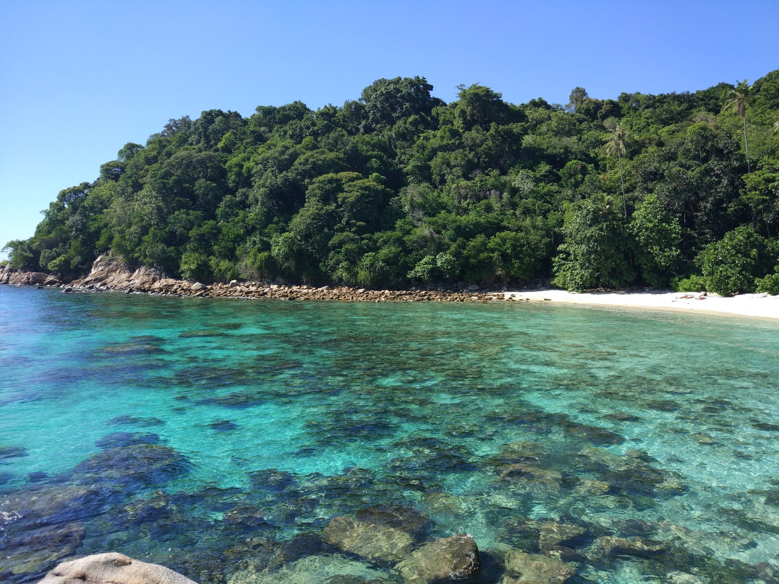 Fotografie cu Adam and Eve Beach zonă sălbatică