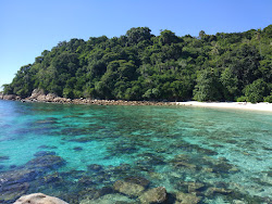 Foto von Adam and Eve Beach befindet sich in natürlicher umgebung