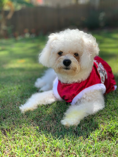 Pet Store «Tri-Creek Kennels», reviews and photos, 5641 US-129, Pendergrass, GA 30567, USA