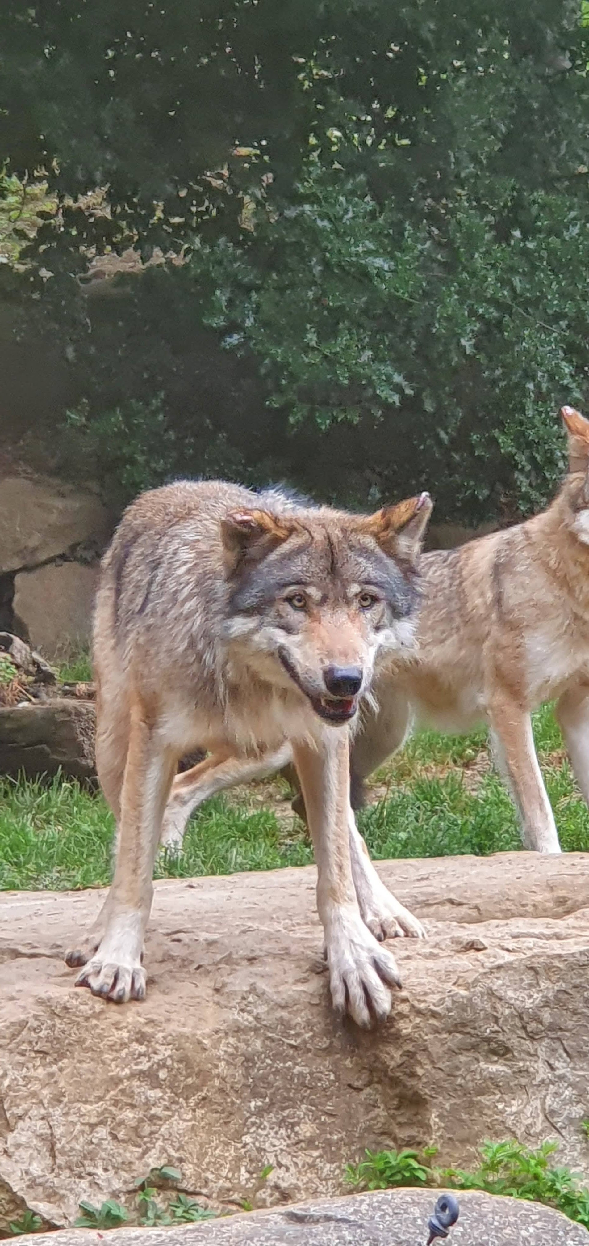 Photo n° 1 de l'avis de Beatrice.o fait le 20/08/2022 à 07:43