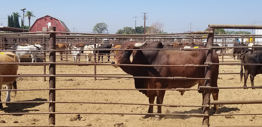 Livestock auction house Anaheim