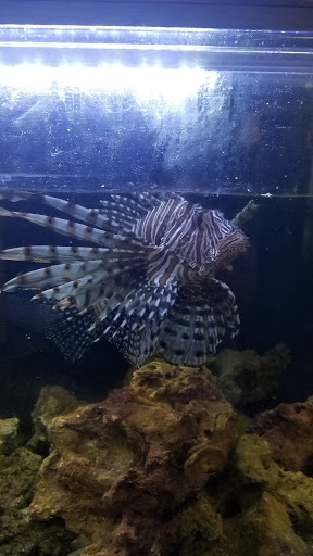 Tropical Fish Store «Westside Aquarium & Pets», reviews and photos, 3402 S Dale Mabry Hwy, Tampa, FL 33629, USA