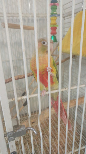 Pet Store «Pet Planet», reviews and photos, 11968 S Redwood Rd, Riverton, UT 84065, USA