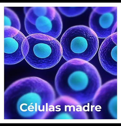 Clinica Genomics - Clinica Genomics