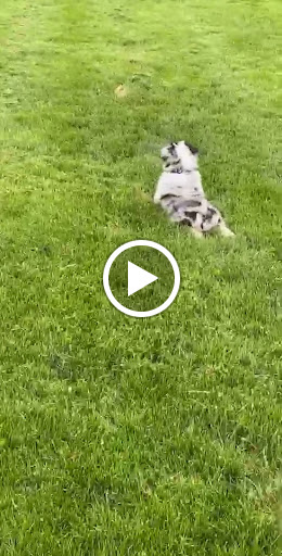 Find best female tattoo ideas for your next unique tattoo in South Padre Island at Peggys Temporary & Permanent Tattoos