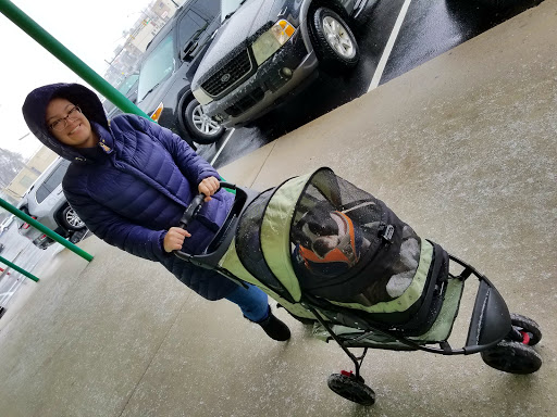 Pet Supply Store «Pet Supplies Plus», reviews and photos, 2433 MacArthur Rd, Whitehall, PA 18052, USA