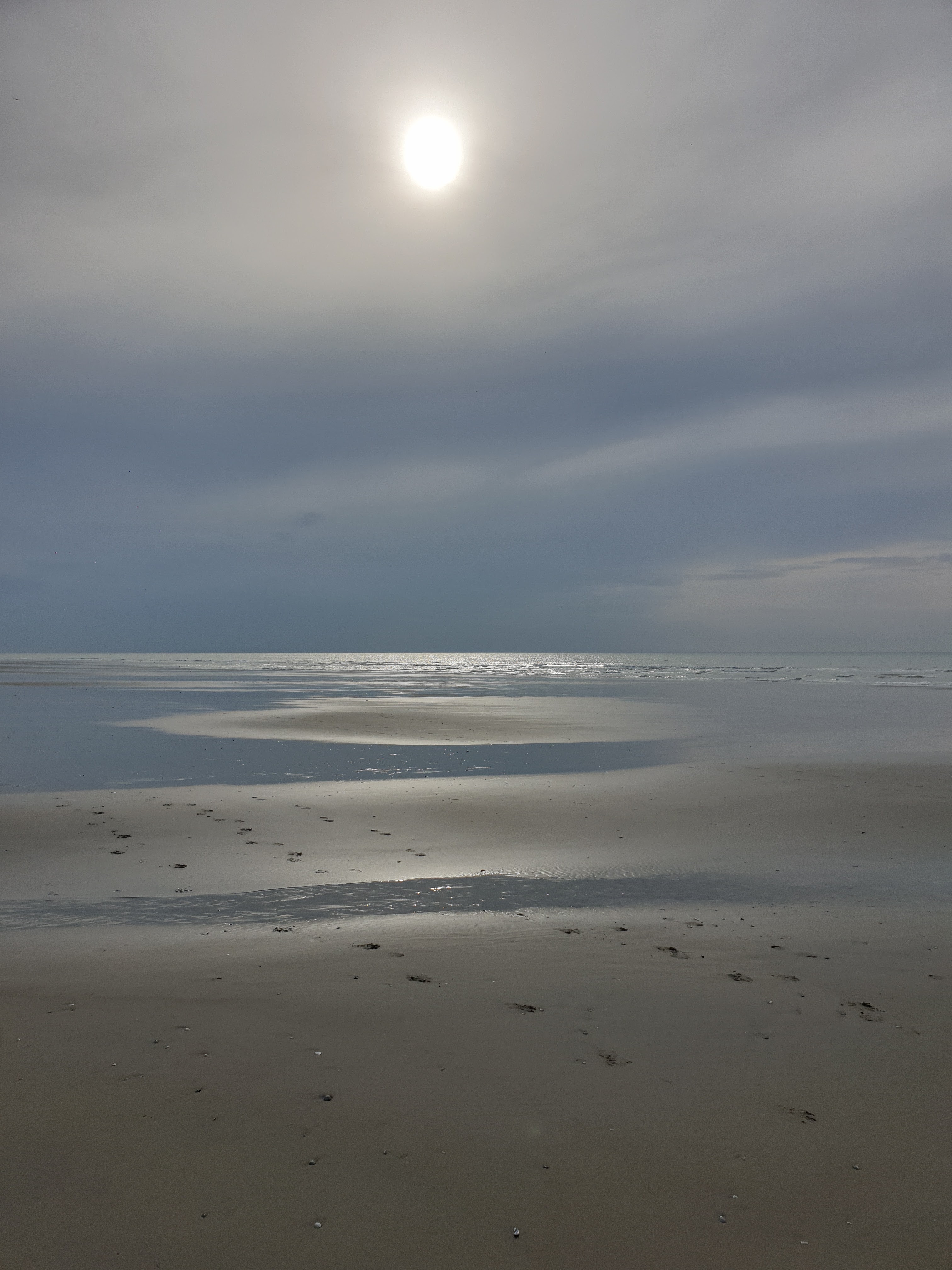 Photo n° 6 de l'avis de Nat. fait le 24/10/2019 à 15:35