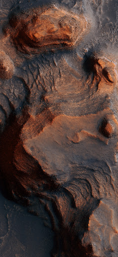 Post Office «United States Postal Service», reviews and photos, 211 Hope St, Mountain View, CA 94041, USA