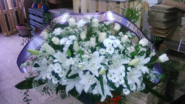Imagen de Proflores.es (5 de 20)