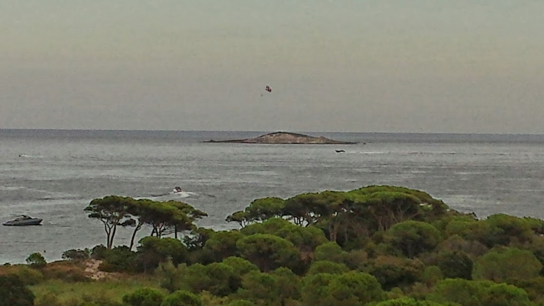 route de piccovaggia à Porto-Vecchio