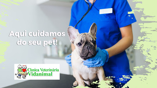 Vidanimal Veterinary Clinic em Barueri - SP