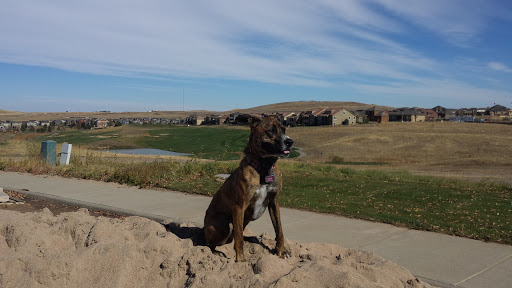 Golf Club «Colorado National Golf Club», reviews and photos, 2700 Vista Pkwy, Erie, CO 80516, USA
