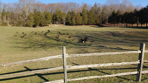 Park «Hillside Park», reviews and photos, 146 Lake Iliff Rd, Newton, NJ 07860, USA