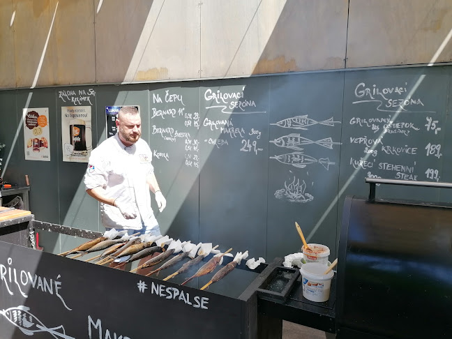 http://www.restauracelodenice.cz/