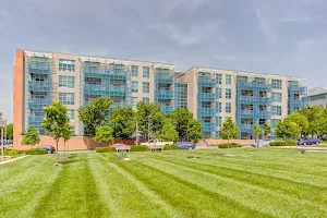 Lofts at Forest Park image