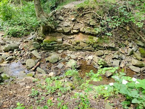 Alapocas Ball Fields - photo 35