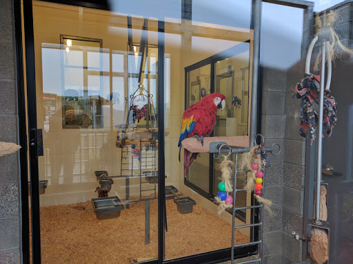 Zoo «Cougar Mountain Zoo», reviews and photos, 19525 SE 54th St, Issaquah, WA 98027, USA