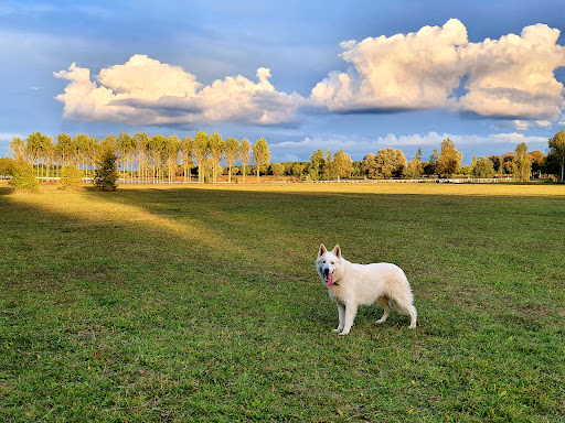 Riemer Park